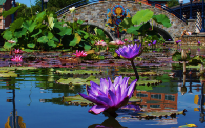 Accepting Proposals for Kinetic Wind Art Sculpture on Carroll Creek