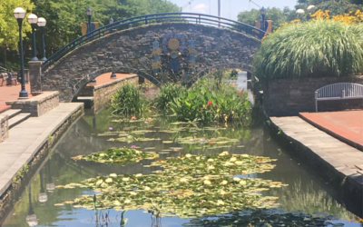 Upcoming Kinetic Sculpture Display in Carroll Creek